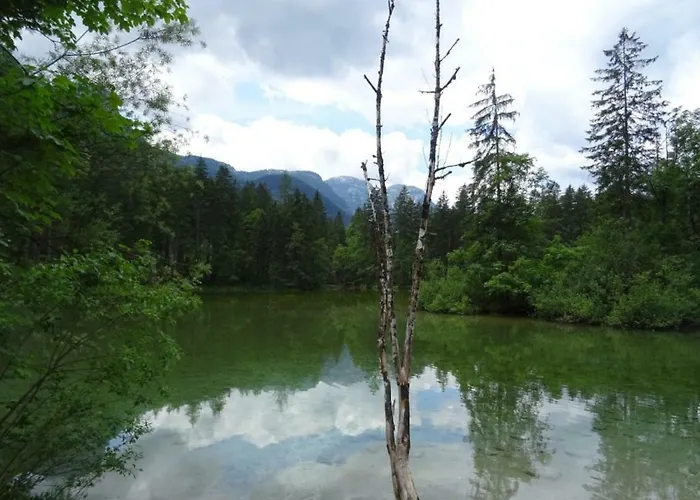 Marywal Όμπερτραουν